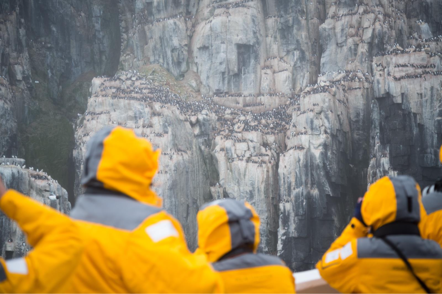  Guests admiring nesting seabirds on the cliff edge from the ship. Photo by Acacia Johnson. 