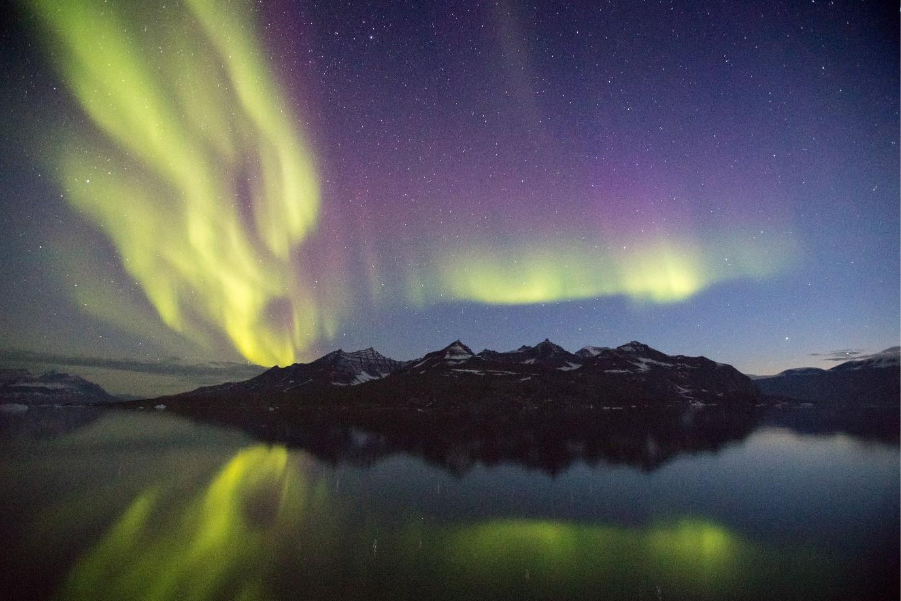 Discover the Northern Lights on an Arctic Cruise 