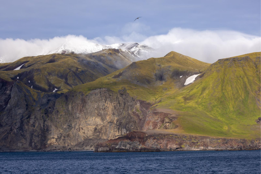 Jan Mayen landscape. Photo by Michelle Sole.