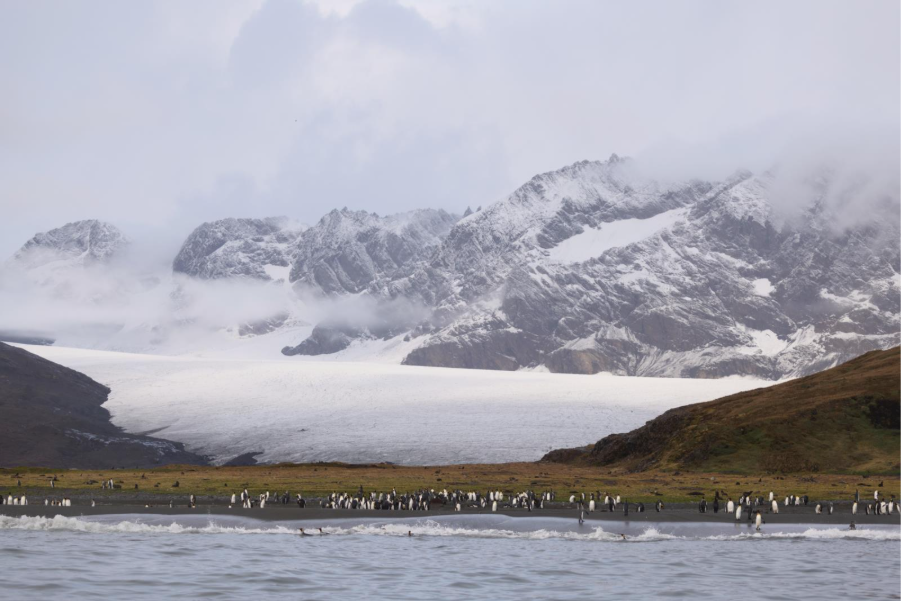 South Georgia landscape. Photo by Michelle Sole. 