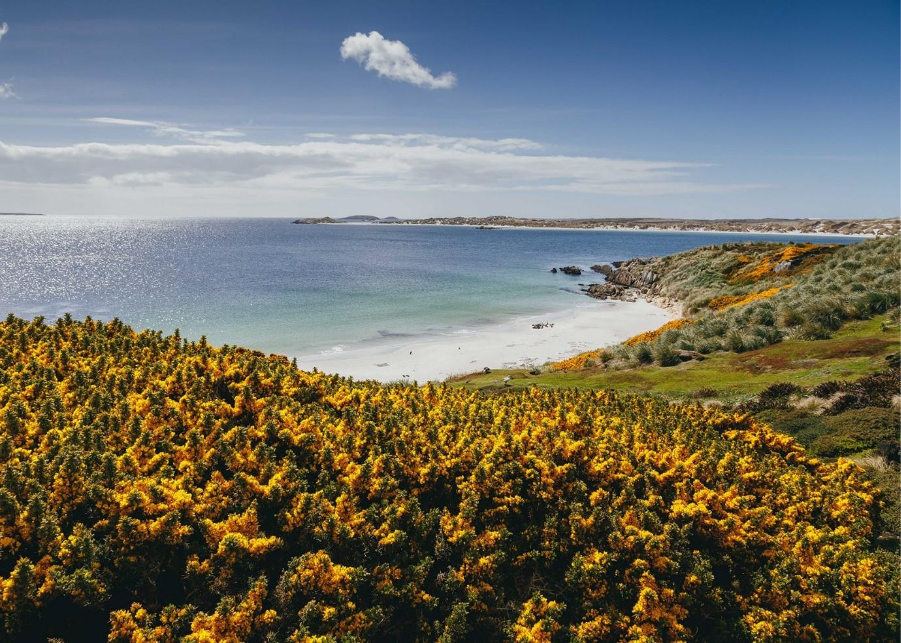 Falkand Islands on a sunny day with clear sky