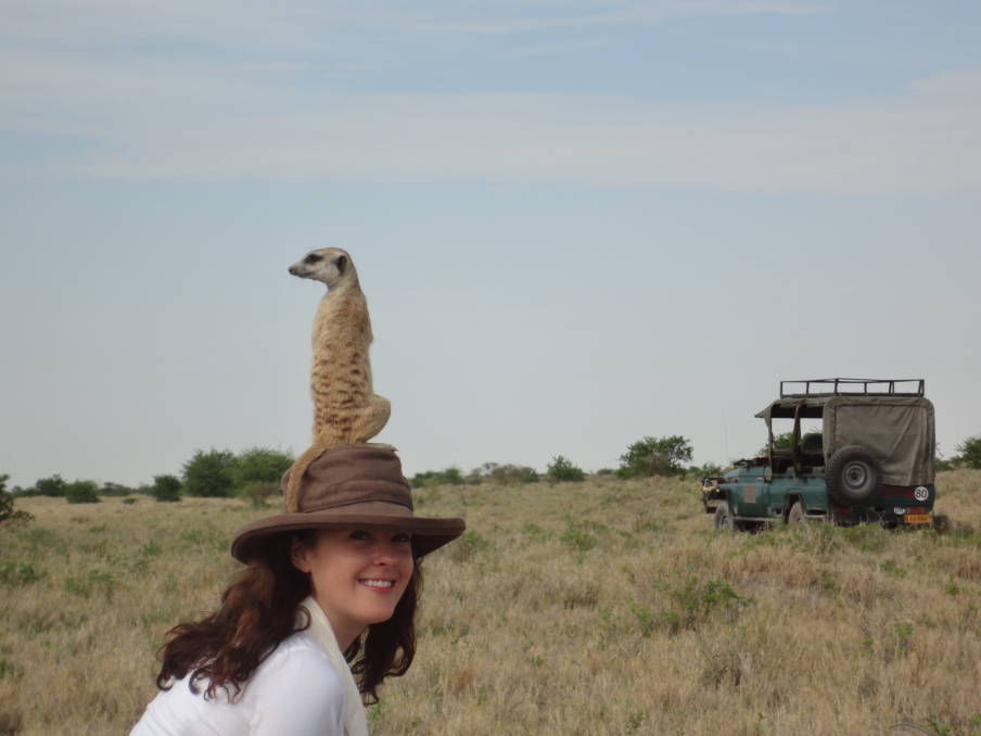 Meerkat safari in Tanzania