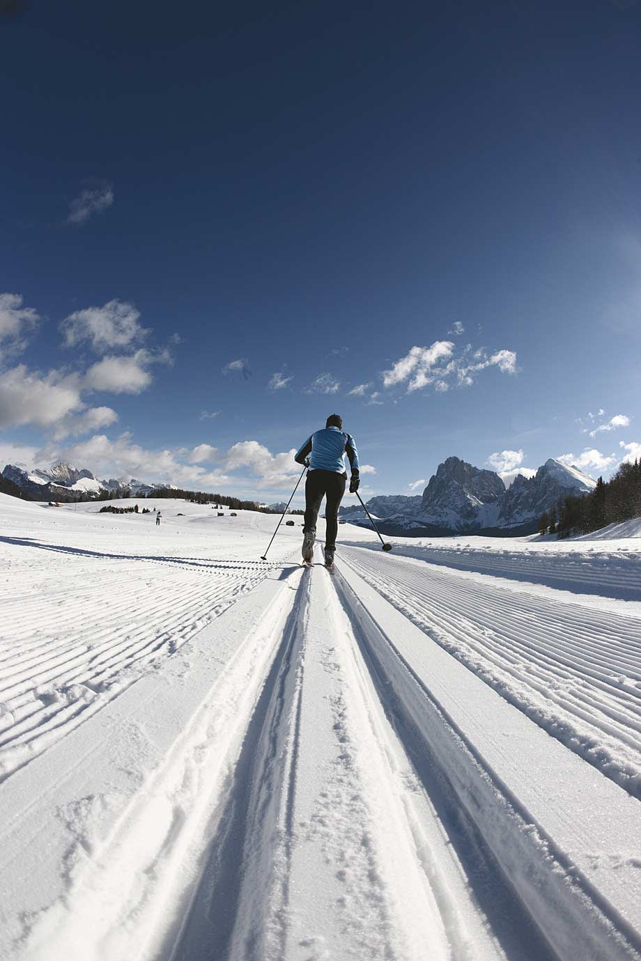 Making Tracks: Cross-Country Skiing with the Experts!