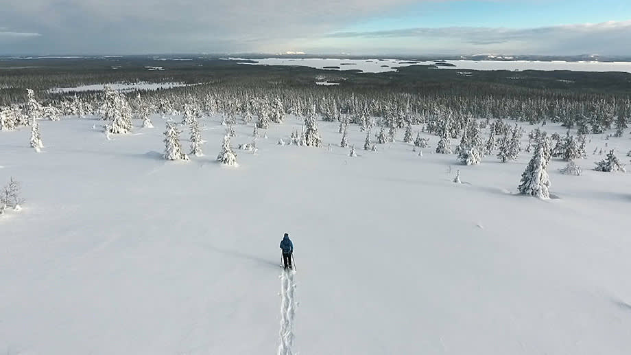 Snowshoeing Finland