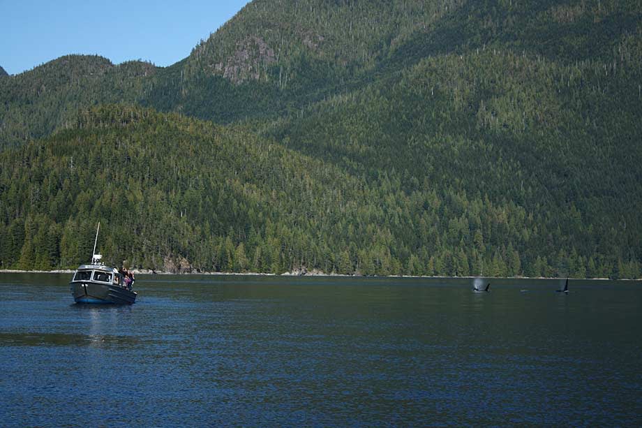 Bear Watching in Canada’s Great Outdoors