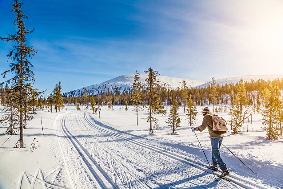 Making Tracks: Cross-Country Skiing with the Experts!