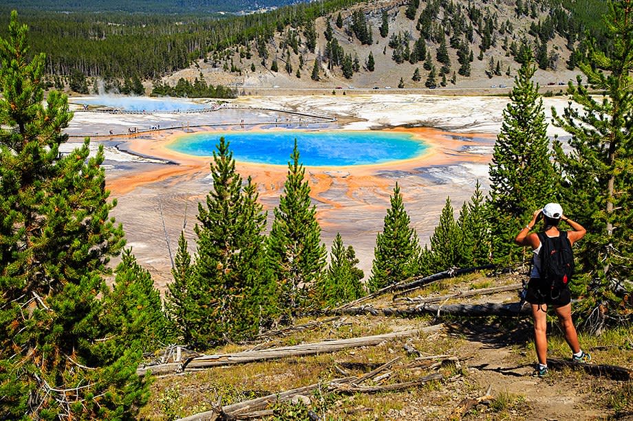 Yellowstone Wildlife Trek