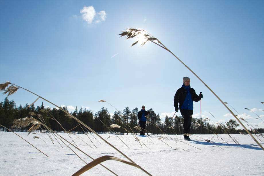 Cross-country skiing