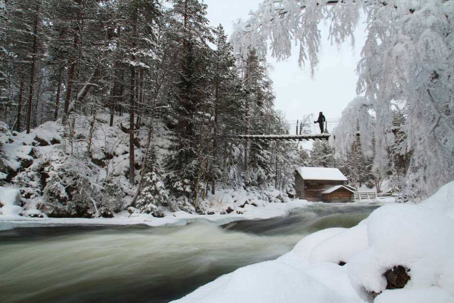 Oulanka National Park in winter