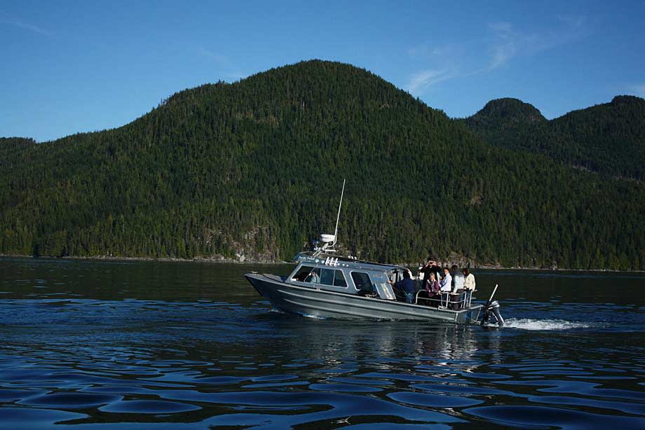 Bear Watching in Canada’s Great Outdoors