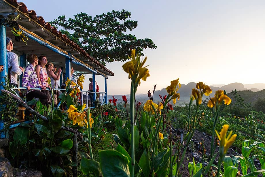 organic farm vinales