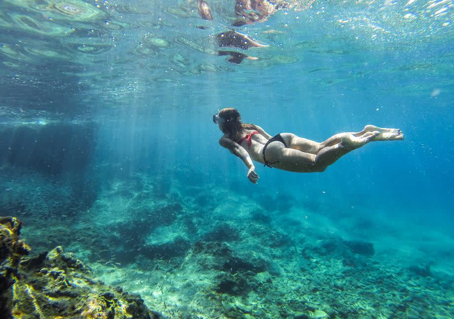 Snorkla på hawaii