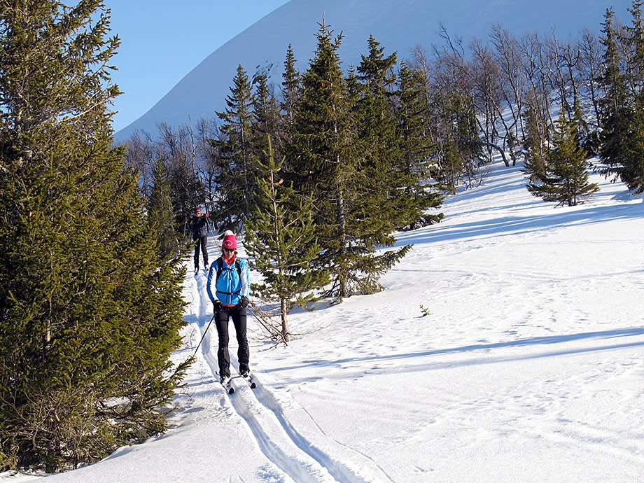 Making Tracks: Cross-Country Skiing with the Experts!
