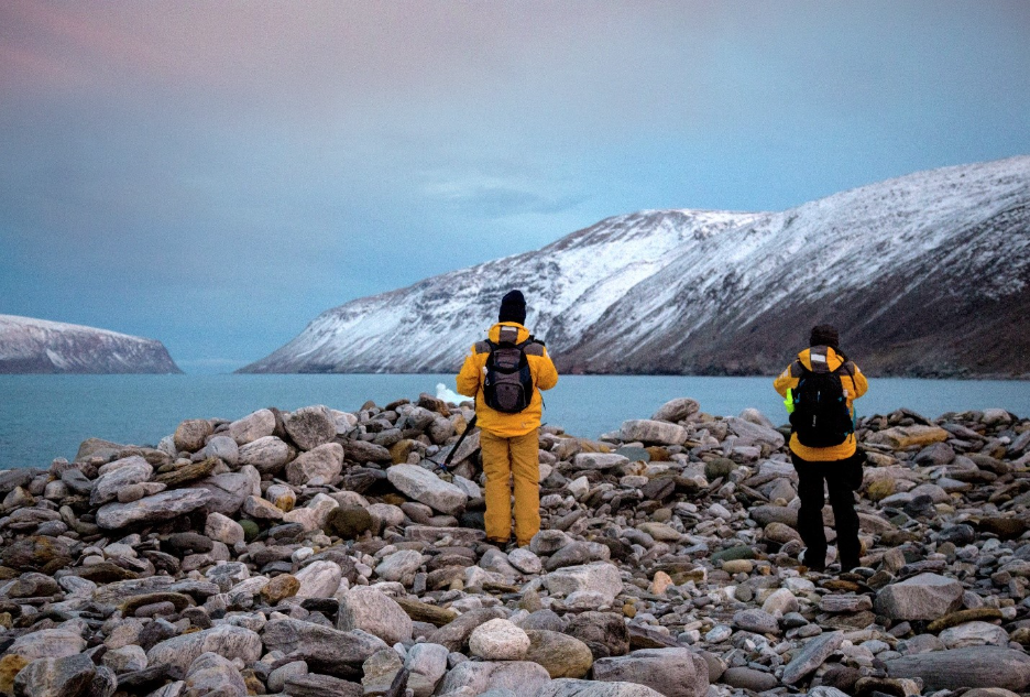 Arctic Foxes and Musk Oxen: Life on the Tundra’s Edge