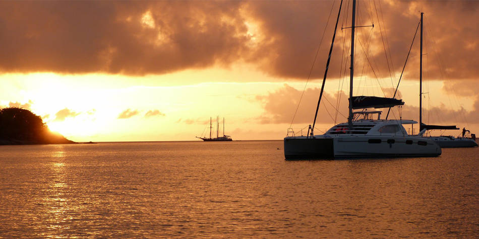 Leopard 46 at sunset