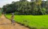 Cycle the Back Roads of Sri Lanka
