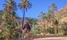 Cycle Morocco’s Great South