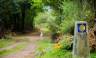 Trekking the Camino de Santiago