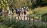 Trekking the Camino de Santiago