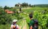 Tuscany Walks & Chianti Wines