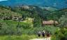 Tuscany Walks & Chianti Wines
