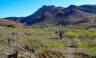 Atlas Mountains