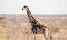 Namibian Family Adventurer