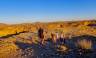 Namibian Family Adventurer