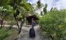 Discover Costa Rica