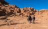 Petra & Wadi Rum Trek