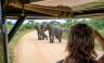 South Africa: Walking & Wildlife