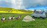 Cycling in Mongolia
