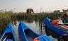 Zambezi Canoe Safari
