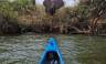 Zambezi Canoe Safari