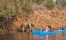 Zambezi Canoe Safari