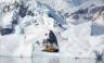 South Georgia and Antarctic Peninsula: Penguin Safari