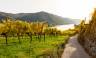 Wachau region