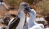 Galapagos Walking Adventure