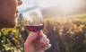 Red wine tasting in Italy