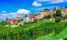 Barolo Gastronomic Cycling by E-Bike