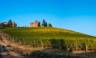 The castle of Grinzane Cavour