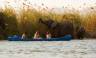 Zambezi Canoe Safari