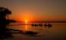 Zambezi Canoe Safari