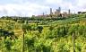Tuscany Walks & Chianti Wines