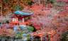 Autumn arrives in the temple gardens, Japan