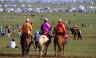 Day at the races, Naadam Festival