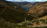 Cycling in the Douro Valley