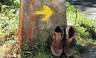Highlights of the Camino de Santiago Walk