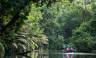 Boat tour Tortuguero canals