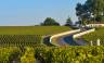 bordeaux-vineyards